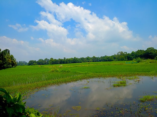 গ্রাম বাংলার প্রাকৃতিক দৃশ্যের কথা