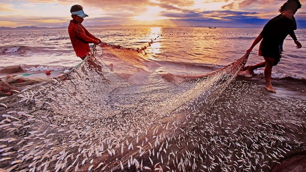 মাছ শিকার: একই দিনে বাংলাদেশ ও ভারতে নিষেধাজ্ঞা