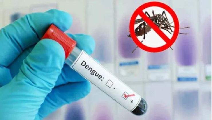 ২৪ ঘণ্টায় ডেঙ্গুতে ৩ মৃত্যু, হাসপাতালে ৩৭২