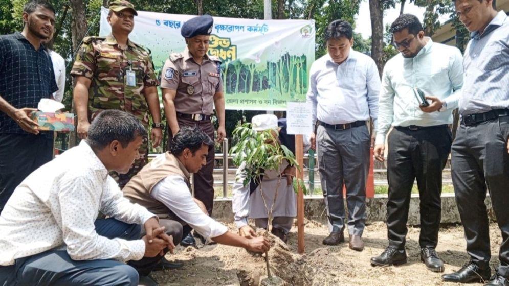 লক্ষ্মীপুরে ‘৫ বছরে ২৫ কোটি বৃক্ষরোপণ’ কর্মসূচির উদ্বোধন